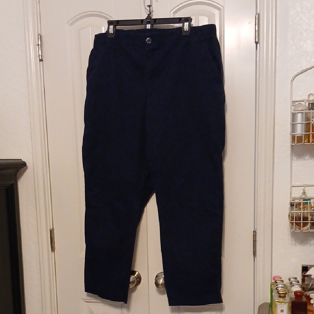 Men's Blue Pants
